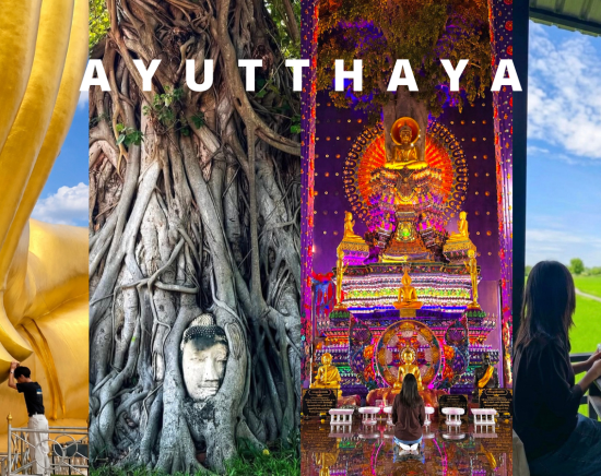 午前発｜【タイ最大級の黄金大仏へ】ワット・ムアン＆世界遺産アユタヤ＋話題の紫寺院 3つの寺院とカフェを巡る＜昼食/ドリンク付き＞